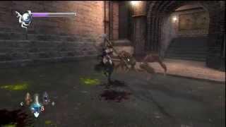 Ninja Gaiden Sigma Rachael Chapter 5 no cut scenes