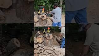 Torture test CSX5000 vs CS2000 endurance #cordless #chainsaw #battery