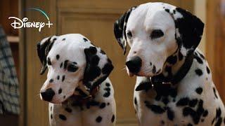 The Puppies get their Collars – 101 Dalmatians HD Movie Clip