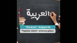 El-Sisi’nin Türk askerini selamlarken kullandığı Shukran asker sözü tartışma yarattı..