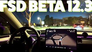 Tesla FSD Beta 12.3 drives our Tesla Model Y in Orange County California