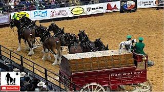 Clydesdale Wagon Team Mishap - 2019 WRCA World Championship Ranch Rodeo Friday