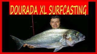 DOURADA XL - SURFCASTING BIG SEA BREAM PESCA DE PRAIA