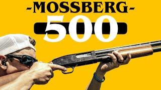 This Gun Started My Career  Mossberg 500 12ga Pump Shotgun Review