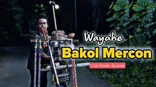 WAYAHE BAKOL MERCON  EPS 104