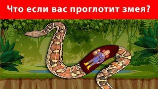 Что если вас проглотит самая большая змея  Как выжить?