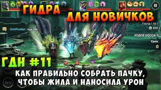 RAID SHADOW LEGENDS ГИДРА ДЛЯ НОВИЧКОВ КАК СОБРАТЬ ПАЧКУ ЧТОБЫ ЖИТЬ И НАБИВАТЬ ГДН #11