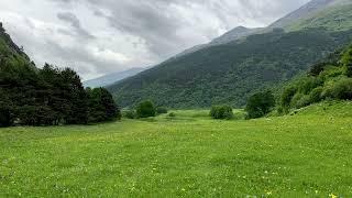 Sounds of nature in the Mountain Valley on a Rainy Day