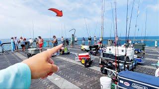 I Caught The Most BIZARRE Pier Fish Catch & Cook