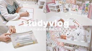 【study vlog】学生のテスト前 休日の過ごし方  勉強に集中する為のルーティン 筆箱紹介