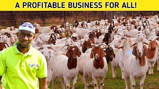 Why Everyone Must START a GOAT Farming Business  2023