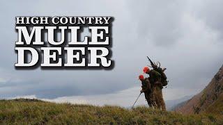 High Country Rifle Mule Deer Hunt  2 Bucks Down