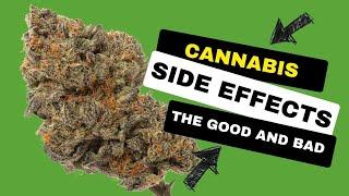 THC Side Effects - The Good and Bad