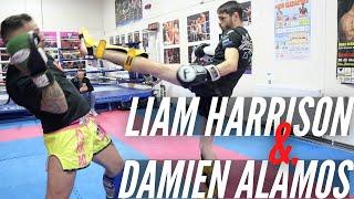 Liam Harrison vs. Damien Alamos Full Sparring Session  Bad Company Sparring Sessions Ep.06