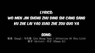 Stop or Sing In Chinese Meme Template  今生缘 Jin Sheng Yuan Affinities Of This Life 川子