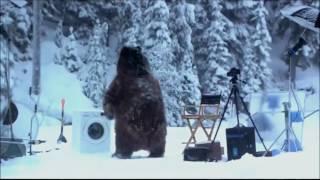 Смешной Медведь  Смотреть видео прикол