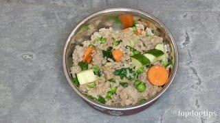 Recipe Healthy Turkey Casserole for Dogs