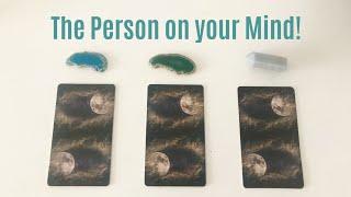 PICK A CARD The Person On Your Mind  Tarot Card Reading