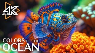 Aquarium 4K Serene Underwater World - Relaxing Sleep Meditation with Coral Reef Fish