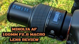 Minolta AF 100mm F2.8 Macro D Lens Review