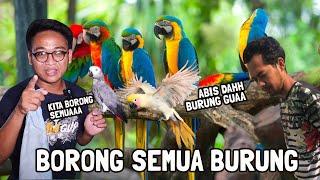 OM JONI SAKIT BURUNGNYA LANGSUNG KITA BORONG SEMUAA‼️