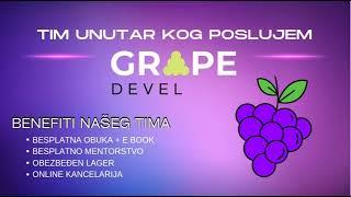 Zoom na temu Biznis ponude Grape Devel Tima - Marija Lapčević