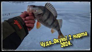 Впервые Зимняя рыбалка на Чудском озере. Окуни плотва. 2 марта 2024. Vlad TV.