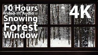 4K HDR 10 hours - Snowing Forest Outside Window - relaxing gentle calming