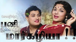 பனி இல்லாதமார்கழியா Pani Illatha Margazhiya Song -4K HD Video  #mgrsongs #tamiloldsongs