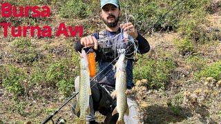 Bursa Turna Avı  Mekandayız -  Bursa balık avı 2023   pike fishing -  #щука #muskie #muskiefishing