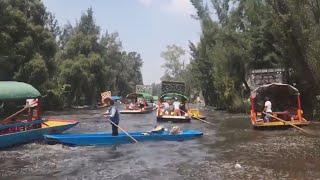 American Tourists Capture Video of Mexicos Deadly Earthquake During Boat Ride