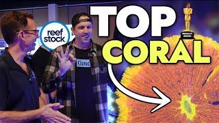 Top 3 COLORFUL Corals At Reefstock Denver 2024