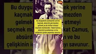 1 Dakikada Camus Felsefesi #felsefe #shorts