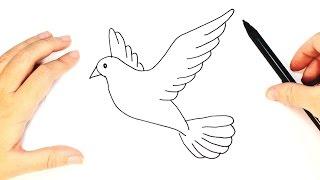 How to Draw a Dove for Kids  Dove Drawing Tutorial