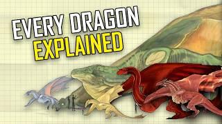 HOUSE OF THE DRAGON Every Dragon Explained