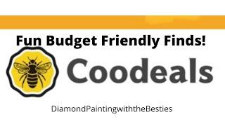 Unboxing Coodeals Fun Budget Friendly Finds