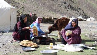 Nomadic lifestyle in the mountains of Afghanistan  Shepherd Mother  Village life in Afghanistan