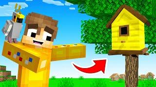 Building My PET PARROT A House In Minecraft Squid Island