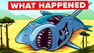 The Why and How of the Megalodon Extinction What Killed the Giant Shark