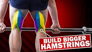 3 Hacks For Beefy Hamstrings  GOODBYE CHICKEN LEGS