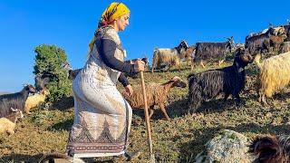 IRAN nomadic life  daily routine village life of Iran  Nomadic lifestyle of Iran