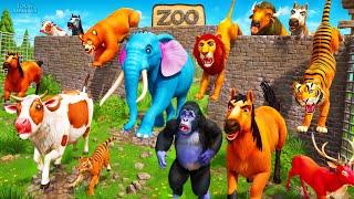 The Great Escape Zoo Animals Breakout  Epic Animal Escape Adventures 2024