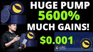 LUNA CLASSIC HUGE RISE  OVER 8% RECENT PUMPS  HOLDERS EXPECT THIS SOON