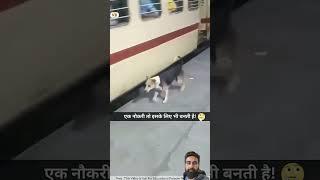 #doglover #dogshorts #railway