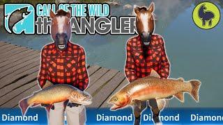 More DIAMONDS at the Brook Trout Spot  Call of the Wild The Angler PS5 4K