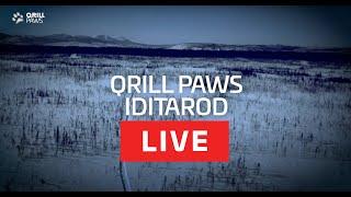 IDITAROD 2022  PRE RACE GALA SHOW  QRILL PAWS LIVE