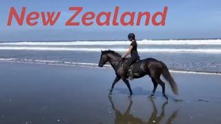 Feel Like Youre There With Horse Riding in New Zealand