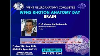 WFNS Rhoton Neuroanatomy Day “Brain”