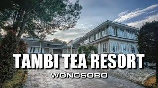 TAMBI TEA RESORT - WONOSOBO