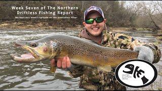 Wisconsin Northern Driftless Trout Fishing Report Catching Big Trout 5423